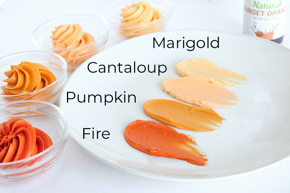 BUTTERCREAM COLOR PALETTE - NATURAL ORANGE SHADES